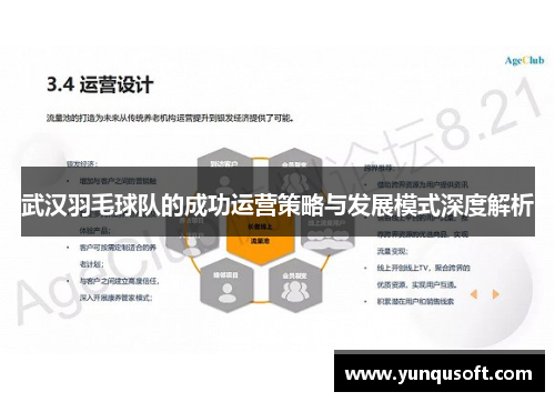 武汉羽毛球队的成功运营策略与发展模式深度解析